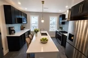 31 Homestead, Boston, MA 02121 - Photo 9
