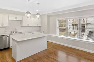 38 Millmont St, Boston, MA 02119 - Photo 3