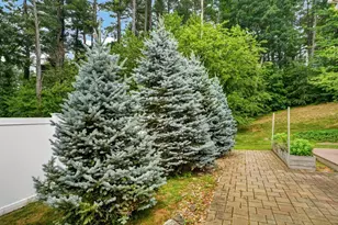 7 Cyrus Way, Northborough, MA 01532 - Photo 27