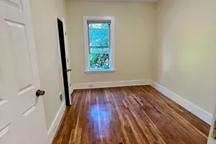 22 Anita Terrace, Boston, MA 02119 - Photo 5