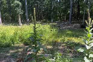 715 Washington St, Pembroke, MA 02359 - Photo 1