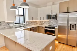 30 Clifton, Boston, MA 02119 - Photo 3