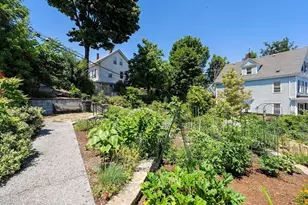 17 Windermere Rd, Boston, MA 02125 - Photo 35