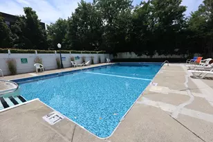 14 Heron St, Boston, MA 02132 - Photo 13