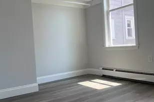 22 Rockville Park, Boston, MA 02119 - Photo 7