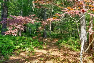90 Forest Glade, Falmouth, MA 02536 - Photo 27