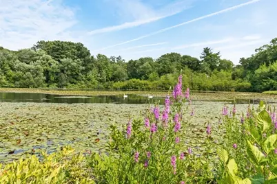 19 Old Diamond #19, Walpole, MA 02081 - Photo 21