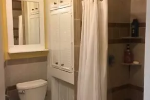 102 Moreland St, Boston, MA 02119 - Photo 11