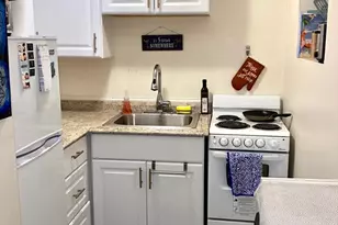 120a Babcock St, Brookline, MA 02446 - Photo 3