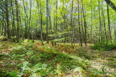 0 Riceville, Athol, MA 01331 - Photo 13