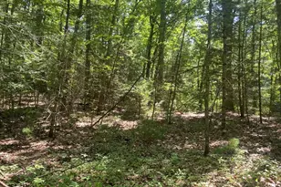 Lot 19 Bernard Whitney Rd, New Braintree, MA 01531 - Photo 1