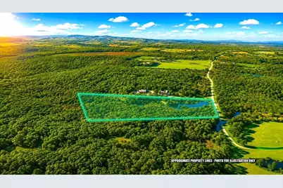 Lot 19 Bernard Whitney Rd, New Braintree, MA 01531 - Photo 9