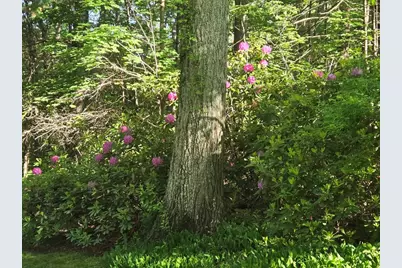 5 Hayden Ln, Bedford, MA 01730 - Photo 37