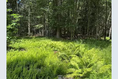 Lot 13 Algerie Rd, Otis, MA 01253 - Photo 15