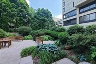931 Massachusetts Ave, Cambridge, MA 02139 - Photo 5