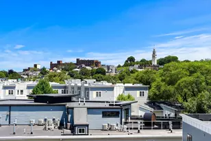 17 Vinton St, Boston, MA 02127 - Photo 9