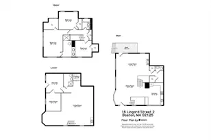 16 Lingard, Boston, MA 02125 - Photo 27
