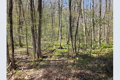 0 Union Road, Holland, MA 01521 - Photo 3