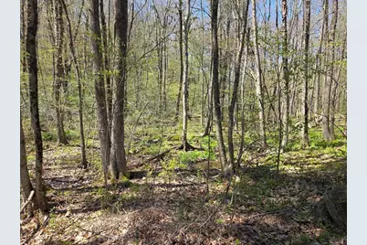 0 Union Road, Holland, MA 01521 - Photo 3