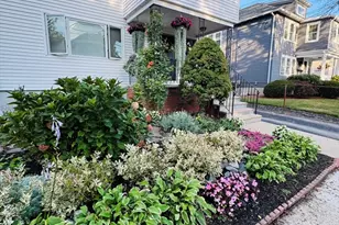 16-18 Alfred Rd, Arlington, MA 02474 - Photo 1