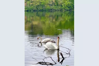 35 Willowwood Ave, Stoughton, MA 02072 - Photo 15