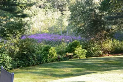 46 Black Burnian Road, Weston, MA 02493 - Photo 41
