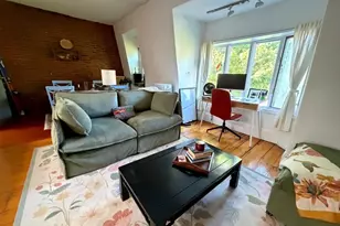 25 E Concord St, Boston, MA 02118 - Photo 3