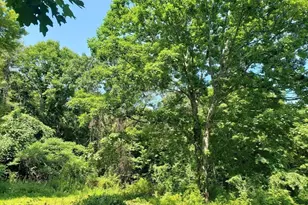 40 Harlow Clark Rd, Huntington, MA 01050 - Photo 1