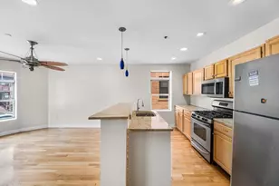 119 Homestead St, Boston, MA 02121 - Photo 3