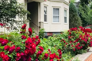 11 Tufts St, Cambridge, MA 02139 - Photo 1