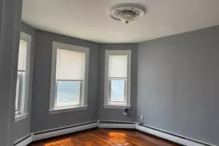 252 E Cottage St, Boston, MA 02125 - Photo 19