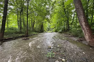11 Green River Rd, Greenfield, MA 01301 - Photo 39