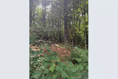 291 Warren Rd, Brimfield, MA 01010 - Photo 3