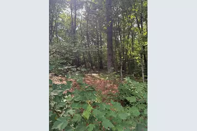 291 Warren Rd, Brimfield, MA 01010 - Photo 3