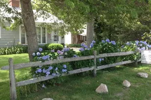 169 Seaview Ave, Yarmouth, MA 02664 - Photo 5