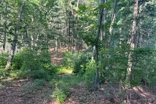 162 Haverhill Rd, Topsfield, MA 01983 - Photo 3