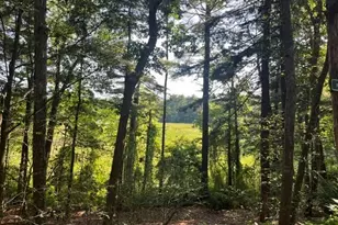 162 Haverhill Rd, Topsfield, MA 01983 - Photo 1