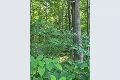 0 Ann St., Haverhill, MA 01830 - Photo 7