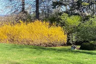 61 Arnold Rd, Pelham, MA 01002 - Photo 31