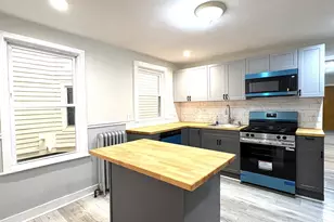 15 Harold Park, Boston, MA 02119 - Photo 7
