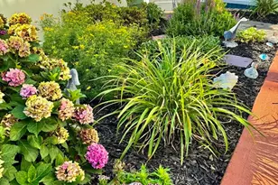 15 Park, Hull, MA 02045 - Photo 1