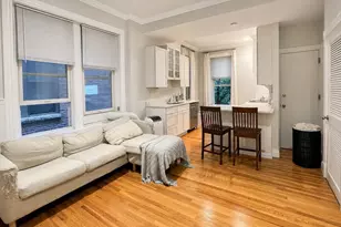 148 Worcester St, Boston, MA 02118 - Photo 1