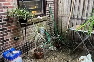 38 Greenwich St, Boston, MA 02120 - Photo 19
