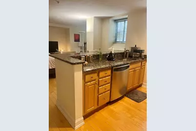 20 Chapel Street #B301, Brookline, MA 02445 - Photo 3