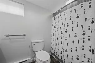 1 Minerva St, Worcester, MA 01604 - Photo 31