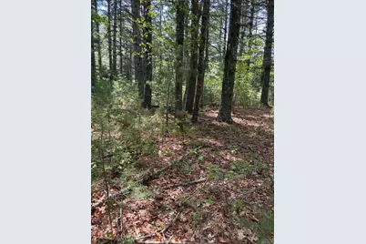35 Silva St, Carver, MA 02330 - Photo 29