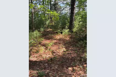 35 Silva St, Carver, MA 02330 - Photo 33