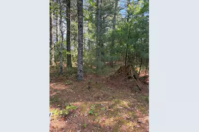 35 Silva St, Carver, MA 02330 - Photo 35