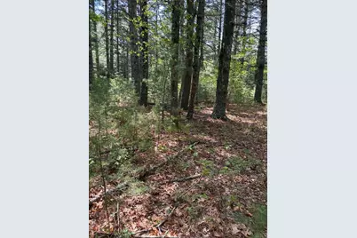 35 Silva St, Carver, MA 02330 - Photo 29
