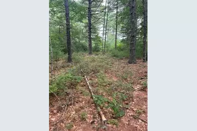 35 Silva St, Carver, MA 02330 - Photo 17
